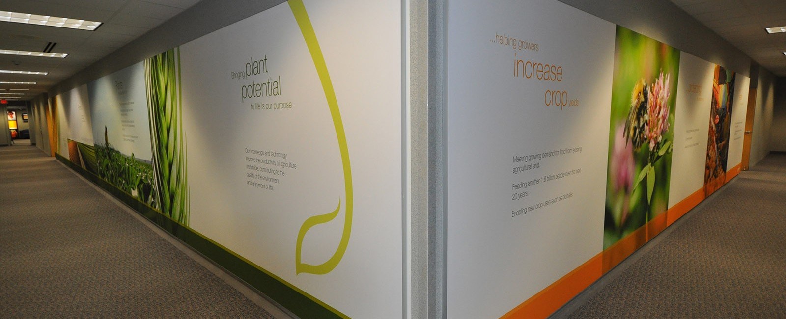 FrameFun Picture Framing & Digital Printing